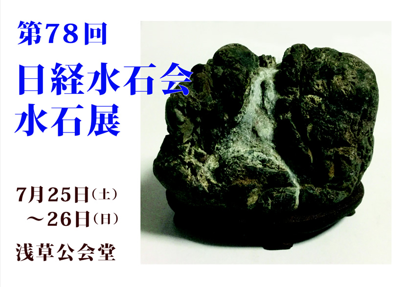 「第78回 日経水石展」のチラシ