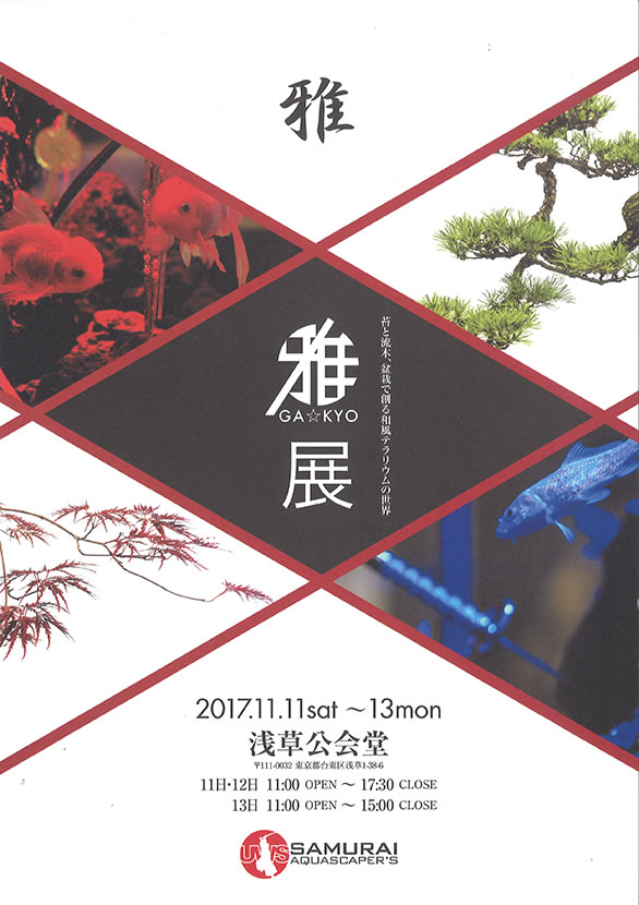 「雅教 GAKYO 展」のチラシ 表