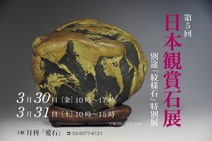 「第5回 日本観賞石展」のチラシ
