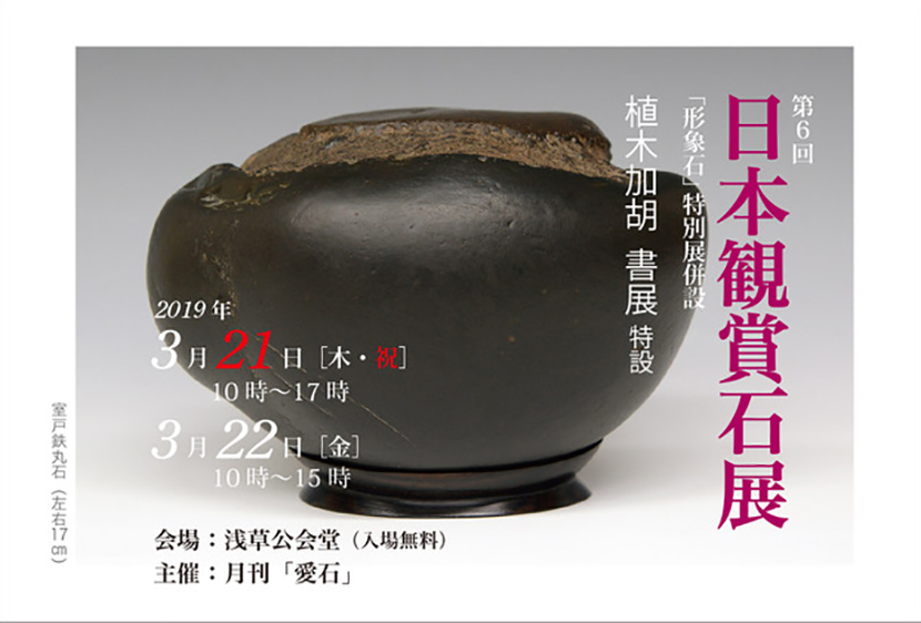「第6回 日本観賞石展」のチラシ